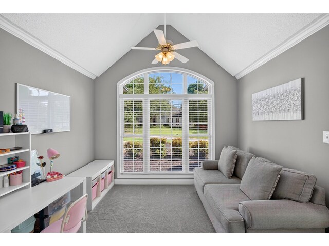 Photo of 503 Saint Helena Court