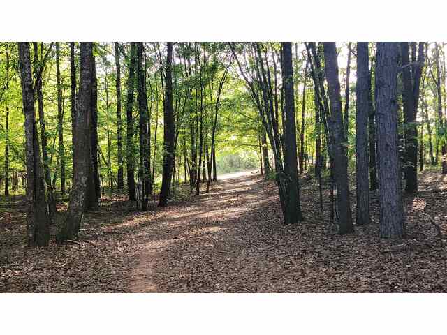 Photo of 1013 Rogers Bridge Road