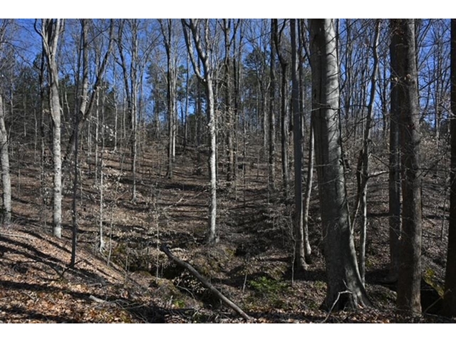 Photo of 0 Hemlock Rd Photo of 0 Hemlock Rd