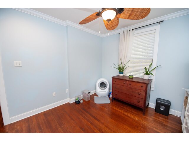 Photo of 364 Palmer Street