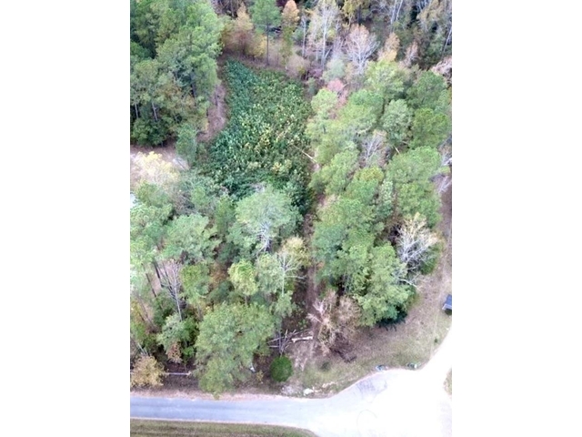 Photo of 195 Durbin Creek Road