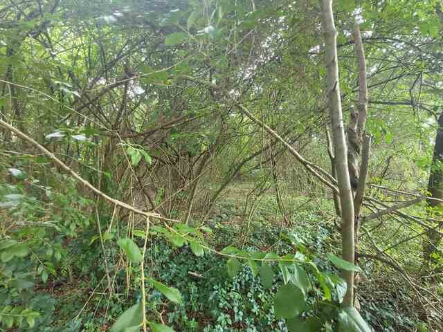 Photo of 378 Cunningham Road