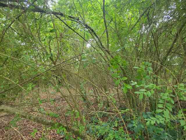 Photo of 378 Cunningham Road