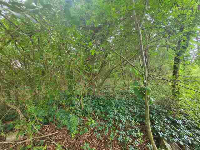 Photo of 378 Cunningham Road
