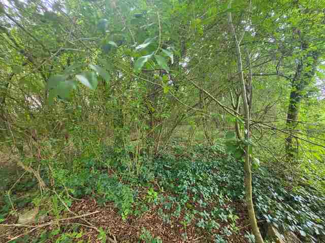 Photo of 378 Cunningham Road