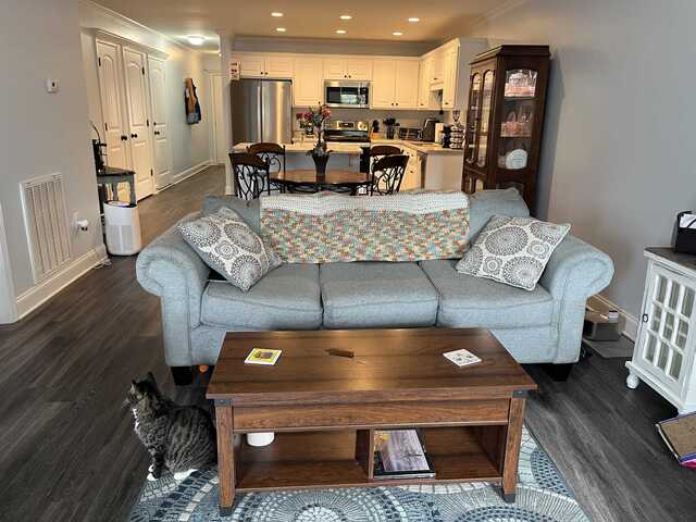 Photo of 383 Amelia Springs Lane Photo of 383 Amelia Springs Lane