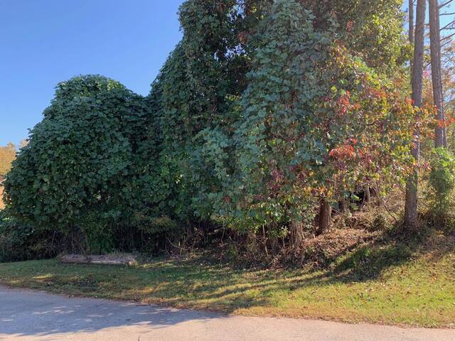 Photo of 169 Lakeshore Drive