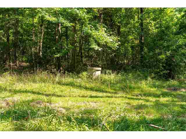 Photo of 7004 Mountain View Road