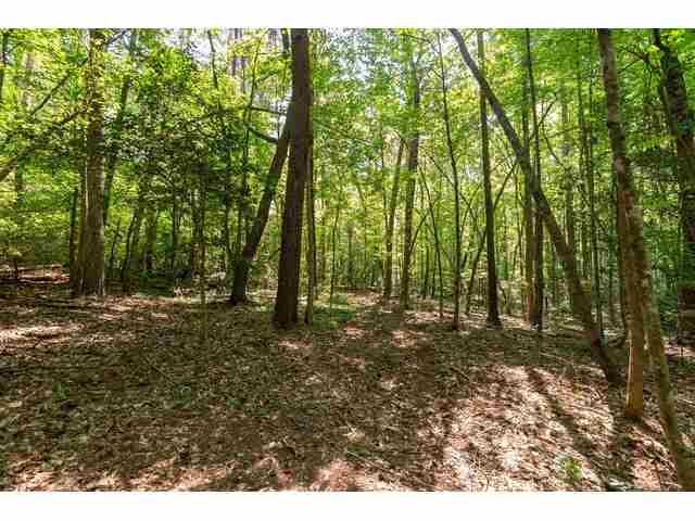 Photo of 7004 Mountain View Road