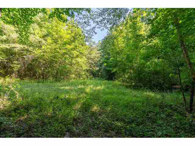 Photo of 7004 Mountain View Road