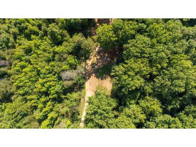 Photo of 7004 Mountain View Road