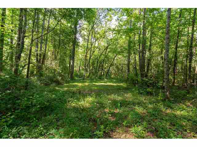 Photo of 7004 Mountain View Road
