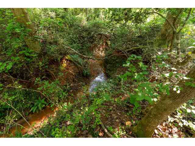 Photo of 7004 Mountain View Road
