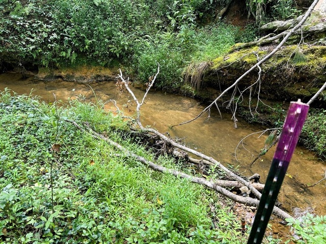 Photo of 517 Signal Hill Lane
