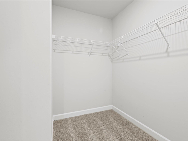 Photo of 706 Whitebark Drive