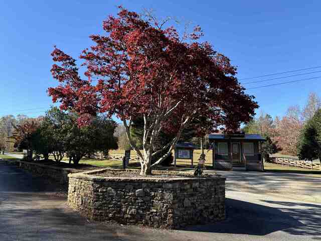 Photo of 135 Choestoea Road Photo of 135 Choestoea Road
