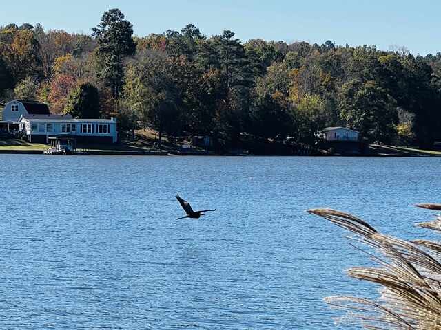 Photo of 711 Eagles Harbor