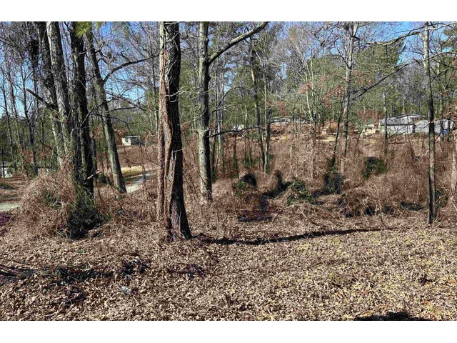 Photo of 00 Wynette Way