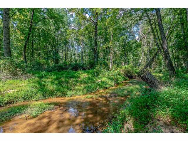 Photo of 1055 Cross Country Lane Photo of 1055 Cross Country Lane