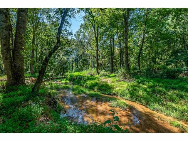 Photo of 1055 Cross Country Lane Photo of 1055 Cross Country Lane