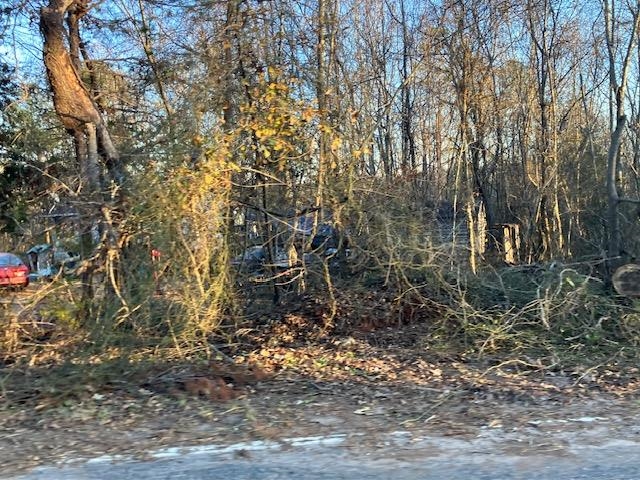 Photo of 0 Goodes Creek Church Road
