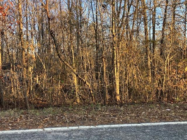 Photo of 0 Goodes Creek Church Road