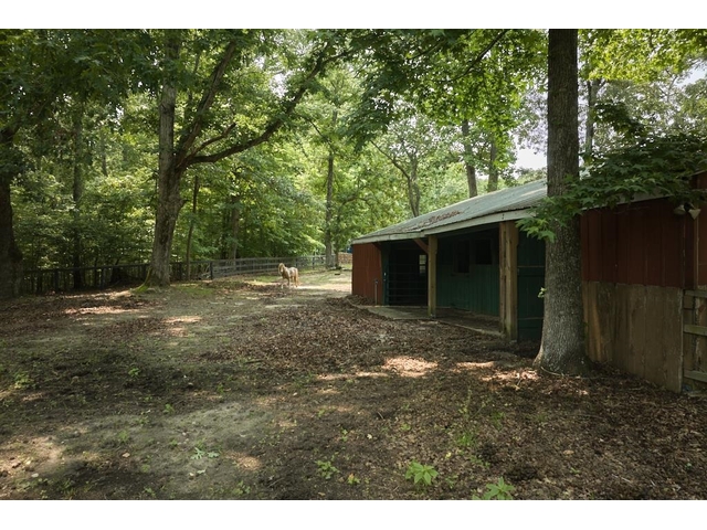 Photo of 355 Night Lark Lane