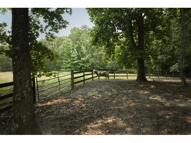 Photo of 355 Night Lark Lane