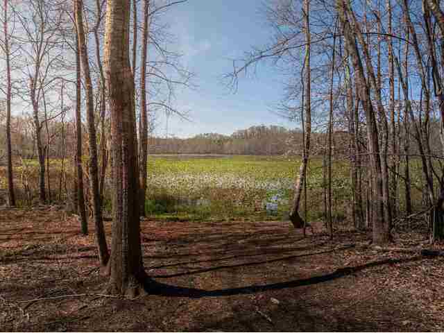 Photo of 48 Woodall Road Photo of 48 Woodall Road