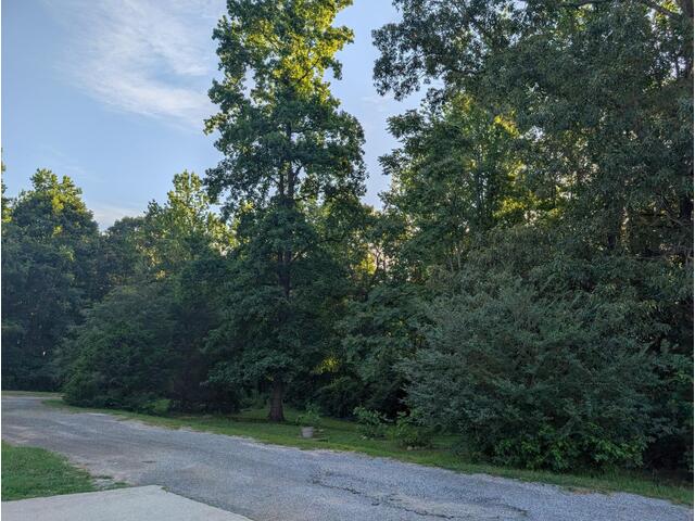 Photo of 0 Dora Ave