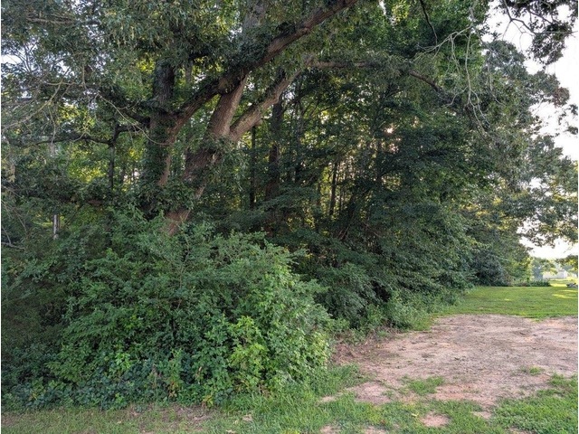 Photo of 0 Dora Ave