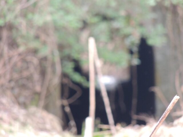 Photo of Photo of