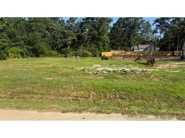 Photo of 0 Pittman Drive