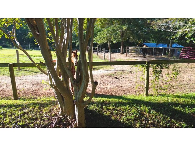 Photo of 700 N Trade Avenue