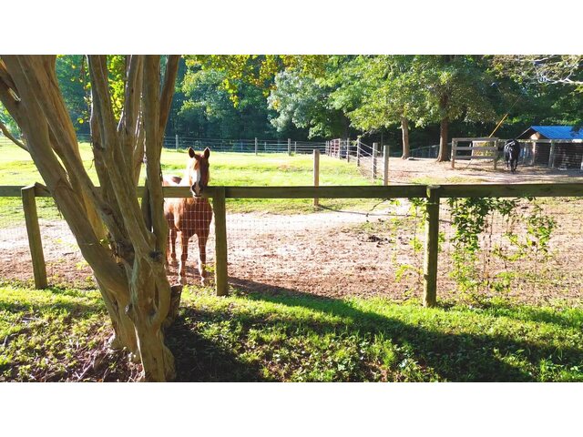 Photo of 700 N Trade Avenue