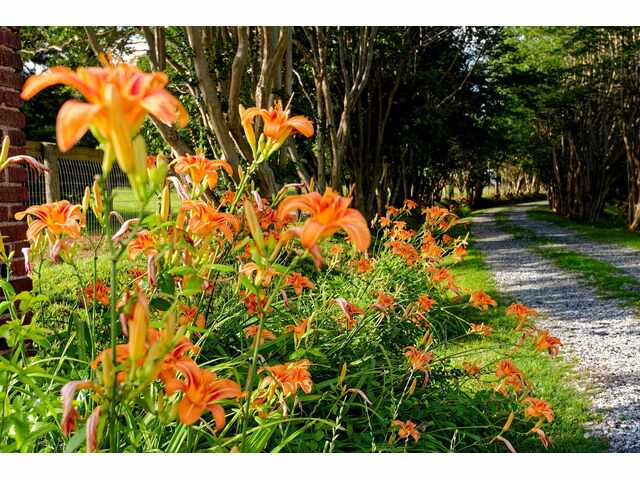 Photo of 700 N Trade Avenue