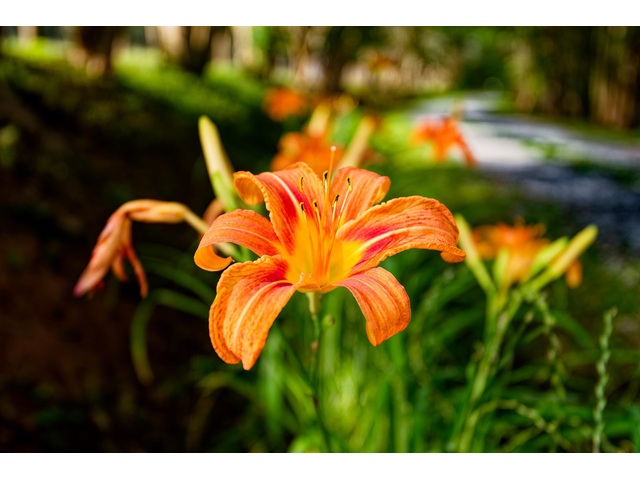 Photo of 700 N Trade Avenue