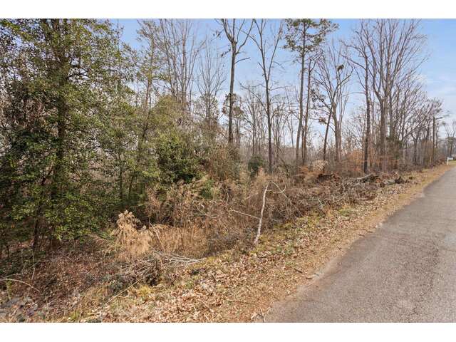 Photo of 355 Bluebird Lane