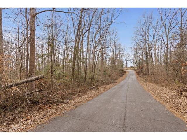 Photo of 355 Bluebird Lane