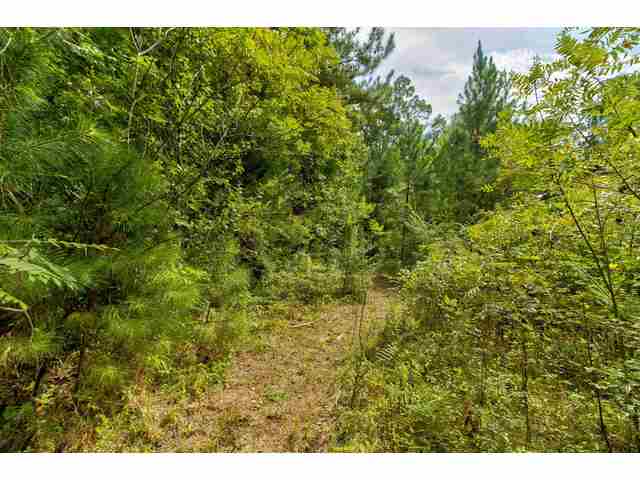 Photo of 0 Blanton Meadows Drive Photo of 0 Blanton Meadows Drive