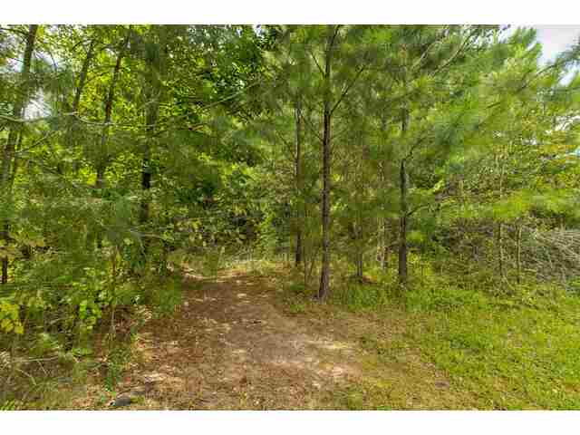 Photo of 0 Blanton Meadows Drive Photo of 0 Blanton Meadows Drive