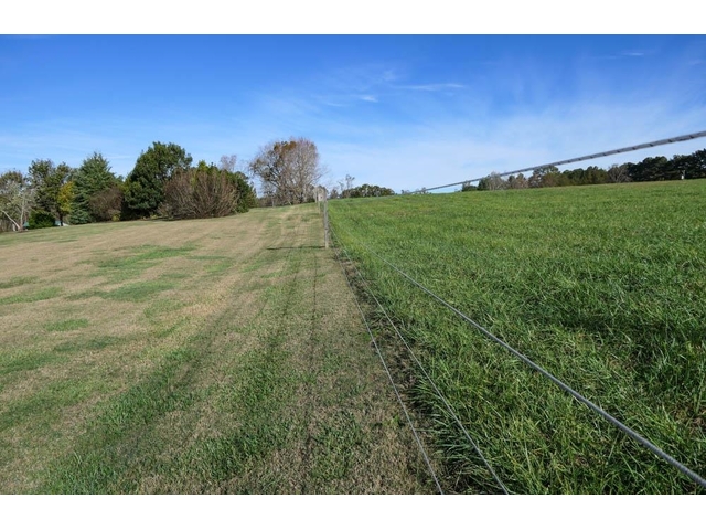 Photo of 719 Hickory Hollow Rd Photo of 719 Hickory Hollow Rd
