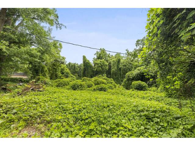 Photo of 207 Cedar Crest Road Photo of 207 Cedar Crest Road