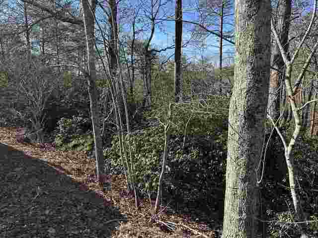 Photo of 00 Caldonia Road