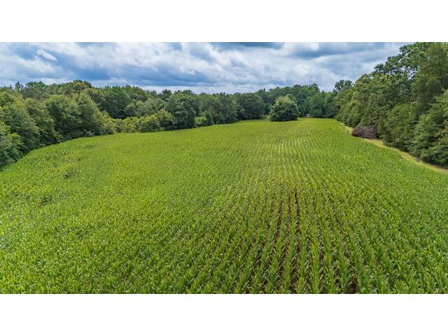 Photo of 3961 Forrester Road