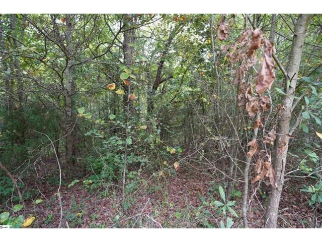 Photo of 3961 Forrester Road