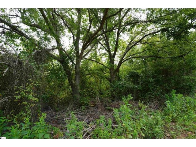 Photo of 3961 Forrester Road