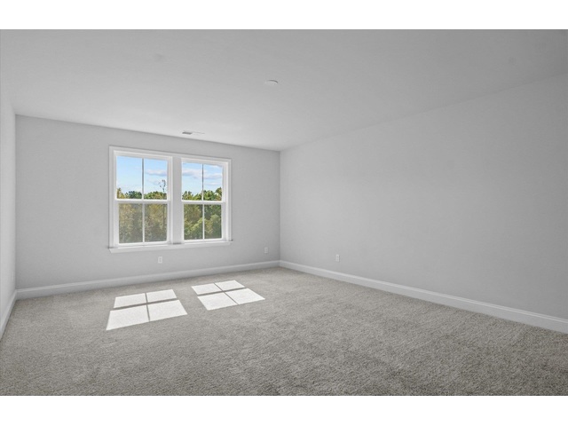 Photo of 1115 Tyger Branch Drive