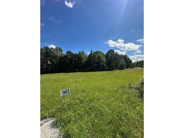Photo of 301 Sweet Gum Road