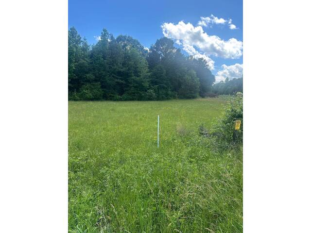 Photo of 301 Sweet Gum Road
